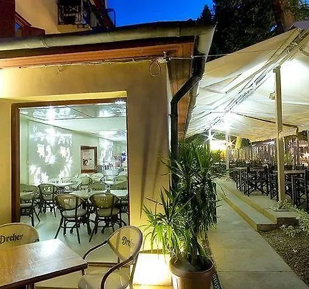 Renegade 2* Шиофок